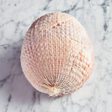 Rolled Turkey Breast - 1.6kg